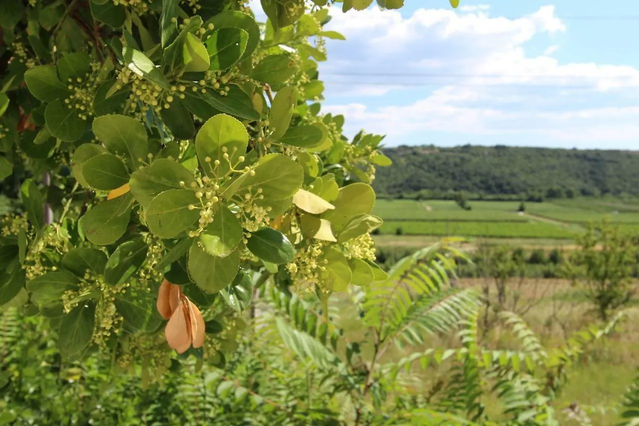 Vila Flora Secovlje Slovenia